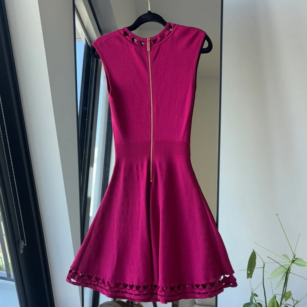 Gorgeous Ted Baker dress 1. - Picture 3 of 10